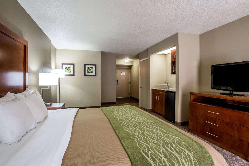 اتاق استاندارد با تخت بزرگ, Comfort Inn And Suites At Dollywood Lane