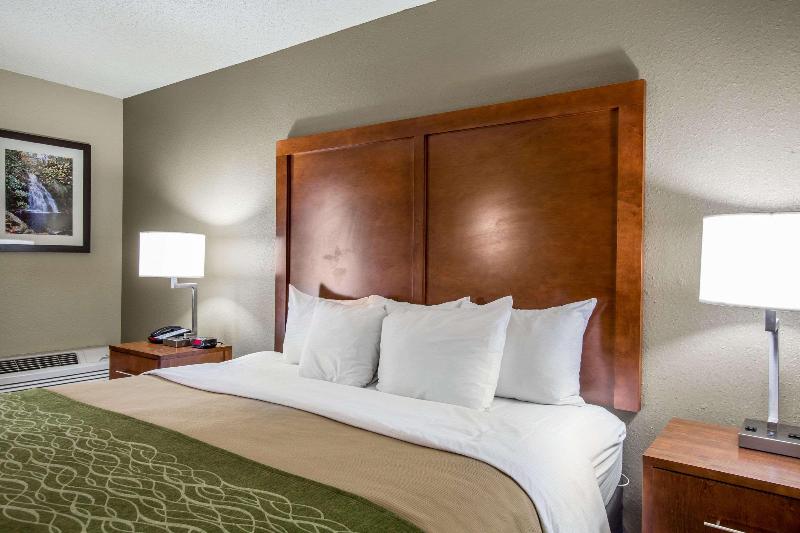 اتاق استاندارد با تخت بزرگ, Comfort Inn & Suites At Dollywood Lane