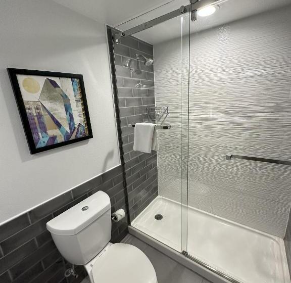 اتاق استاندارد, Holiday Inn Express   Dallas Downtown, An Ihg