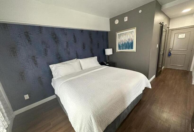 اتاق استاندارد با تخت بزرگ, Holiday Inn Express   Dallas Downtown, An Ihg