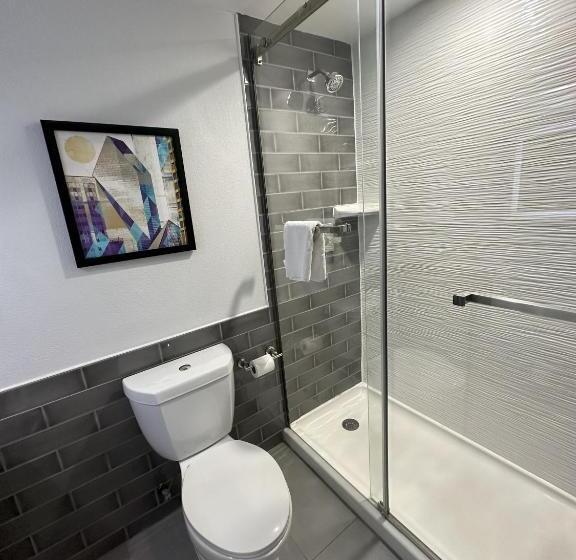 اتاق استاندارد با تخت بزرگ, Holiday Inn Express   Dallas Downtown, An Ihg