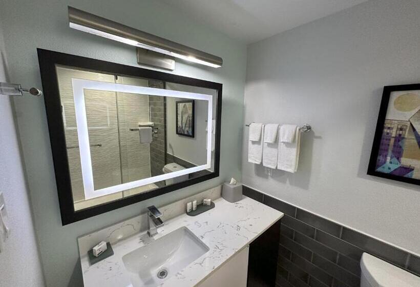 اتاق استاندارد با تخت بزرگ, Holiday Inn Express   Dallas Downtown, An Ihg