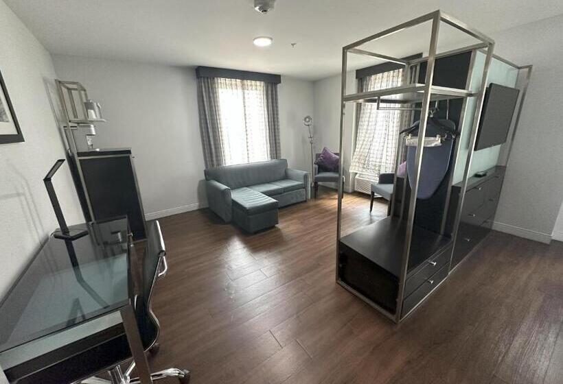 سوئیت با تخت بزرگ, Holiday Inn Express   Dallas Downtown, An Ihg