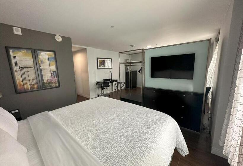 سوئیت با تخت بزرگ, Holiday Inn Express   Dallas Downtown, An Ihg