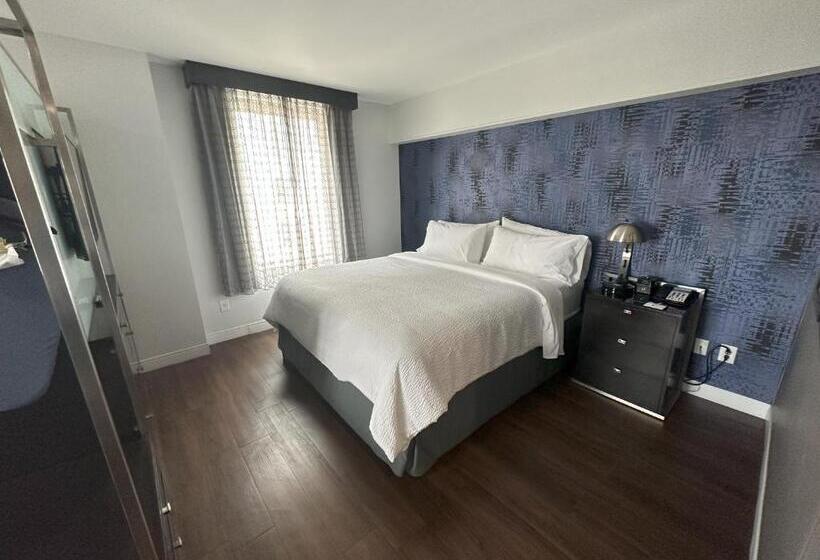سوئیت با تخت بزرگ, Holiday Inn Express   Dallas Downtown, An Ihg