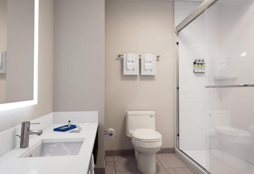 Standard Room Adapted for people with reduced mobility, Holiday Inn Express Dallas Downtown