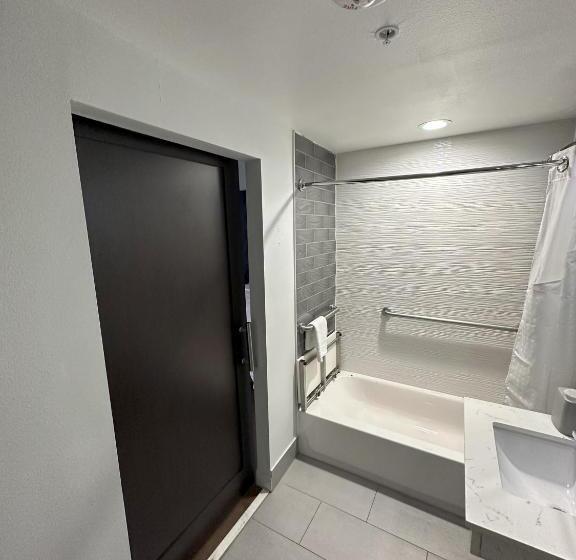 Standard Room Adapted for people with reduced mobility, Holiday Inn Express Dallas Downtown