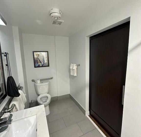 اتاق استاندارد برای معلولان, Holiday Inn Express   Dallas Downtown, An Ihg