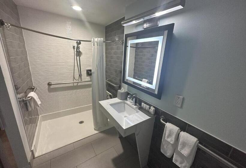 Chambre Standard Adaptée aux Personnes à Mobilité Réduite, Holiday Inn Express Dallas Downtown