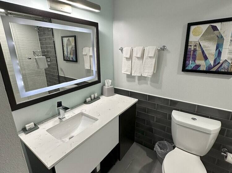 اتاق استاندارد, Holiday Inn Express   Dallas Downtown, An Ihg
