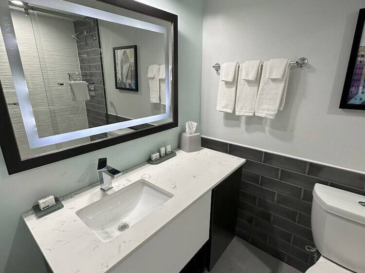 اتاق استاندارد, Holiday Inn Express   Dallas Downtown, An Ihg