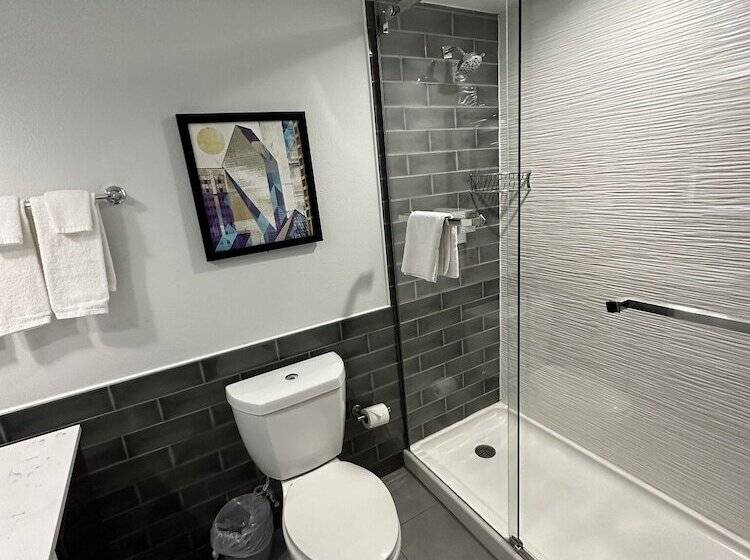 اتاق استاندارد با 2 تخت دوبل, Holiday Inn Express   Dallas Downtown, An Ihg