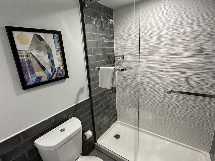 اتاق استاندارد با 2 تخت دوبل, Holiday Inn Express   Dallas Downtown, An Ihg