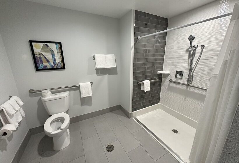 اتاق استاندارد با 2 تخت دوبل, Holiday Inn Express   Dallas Downtown, An Ihg