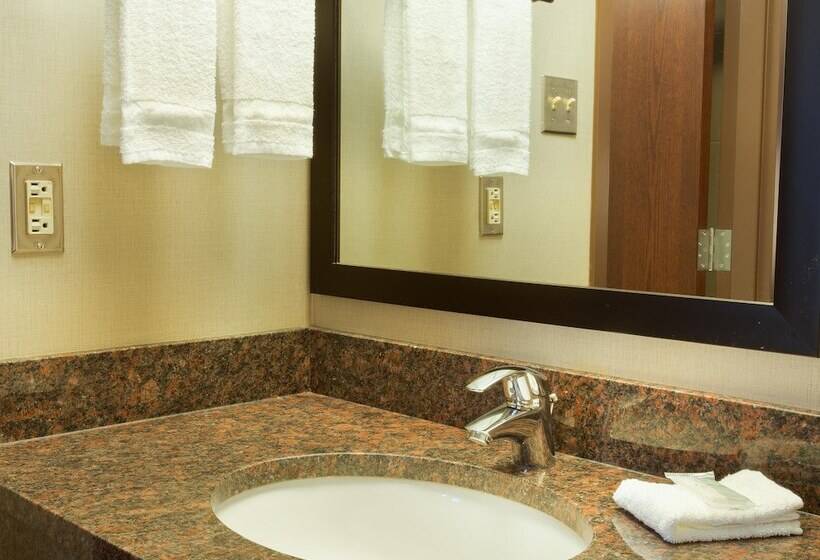 חדר דלוקס, Pear Tree Inn San Antonio Airport