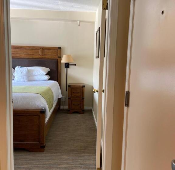 آپارتمان لوکس 1 خوابه, Park Regency Resort