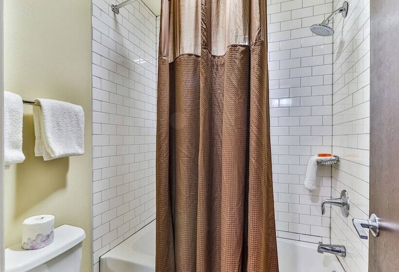 标准工作室, Polynesian Hotel & Suites Wisconsin Dells/lake Delton