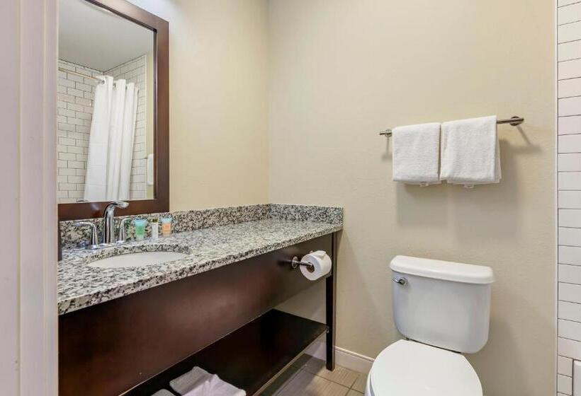 豪华套房, Polynesian Hotel & Suites Wisconsin Dells/lake Delton