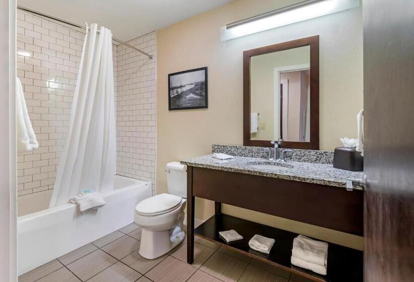 带泳池景观及2个卧室的公寓, Polynesian Hotel & Suites Wisconsin Dells/lake Delton