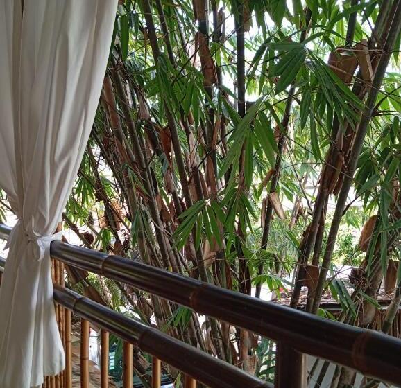 اتاق استاندارد با چشم‌انداز استخر, Black Bamboo B&b