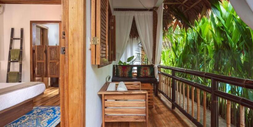 اتاق استاندارد با چشم‌انداز استخر, Black Bamboo B&b