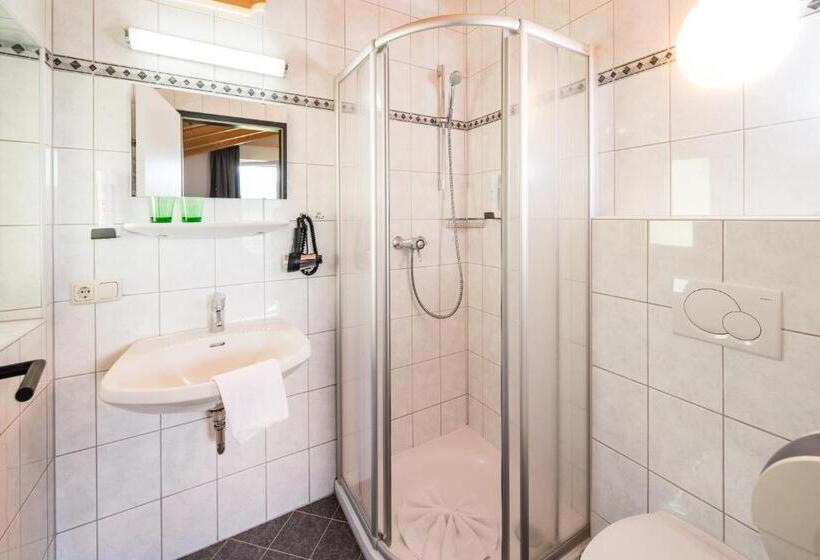 اتاق عادی, Apartmenthotel Sonnenhof
