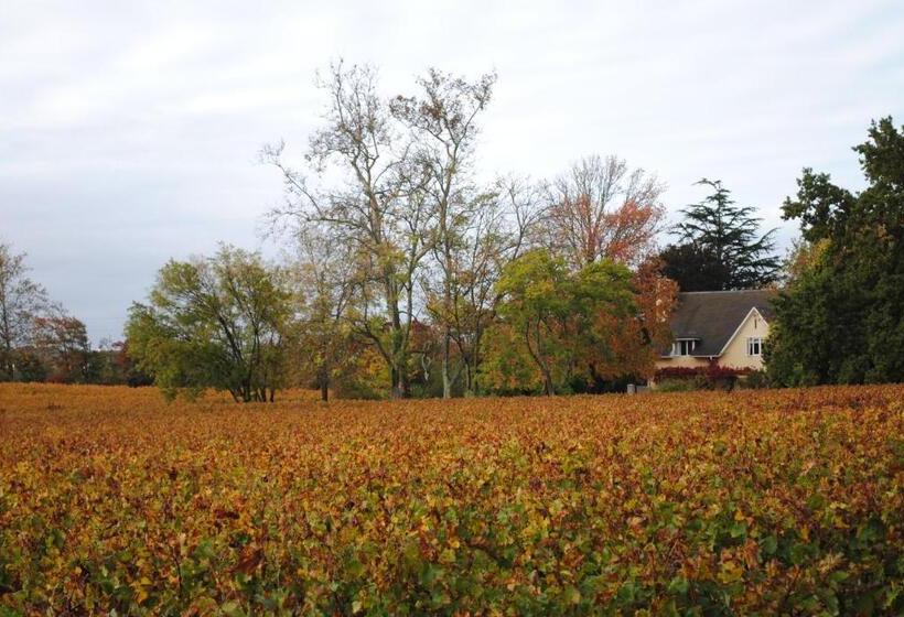اتاق استاندارد با چشم‌انداز کوهستان, Belfield Wines And Farm Cottages