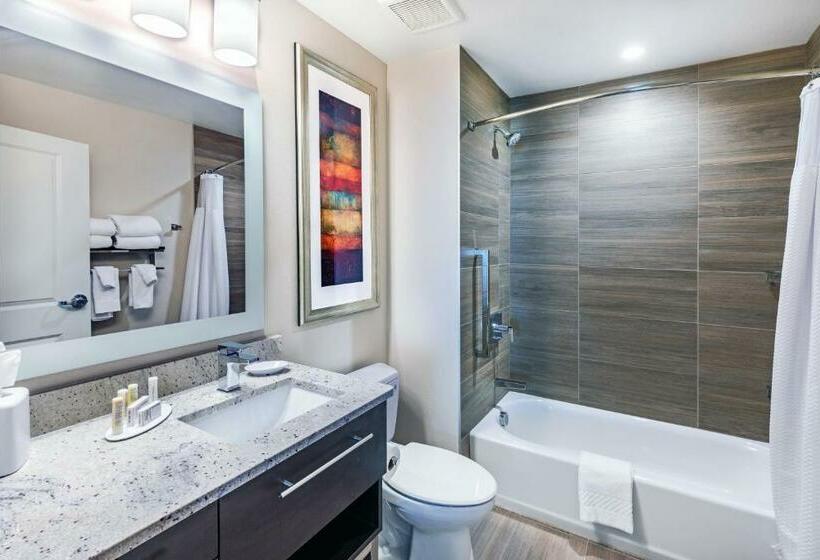 استودیو استاندارد با تخت کینگ, Towneplace Suites Dallas Plano/richardson