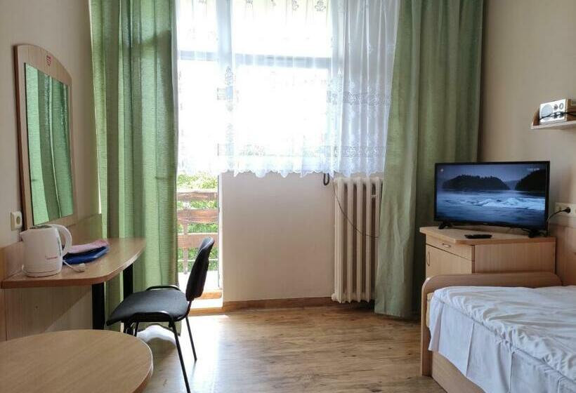اتاق استاندارد یک نفره, Sp Zoz Sanatorium Uzdrowiskowe Mswia Agat