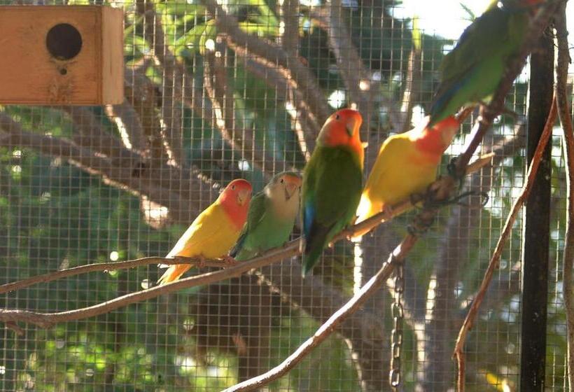آپارتمان 1 خوابه با چشم‌انداز استخر, Jardin De Aridane