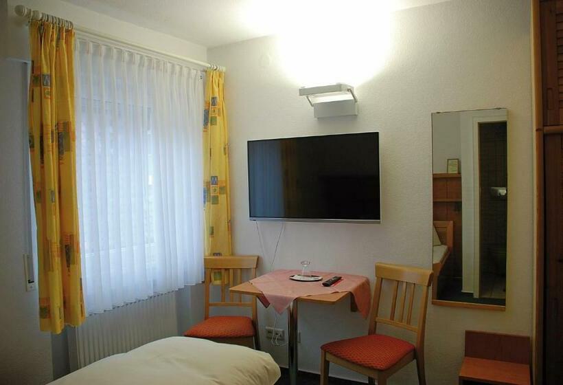 اتاق استاندارد یک نفره, Seehotel Zur Münz