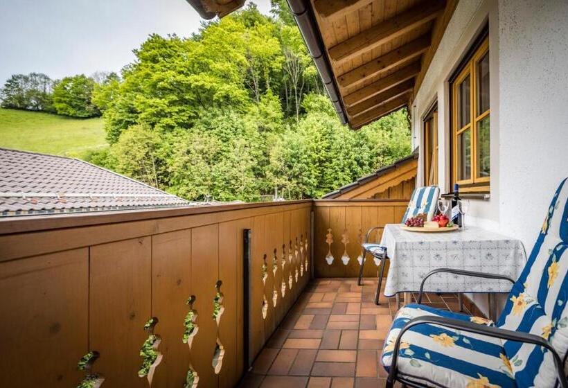 آپارتمان 1 خوابه با چشم‌انداز, Landhaus Weiß