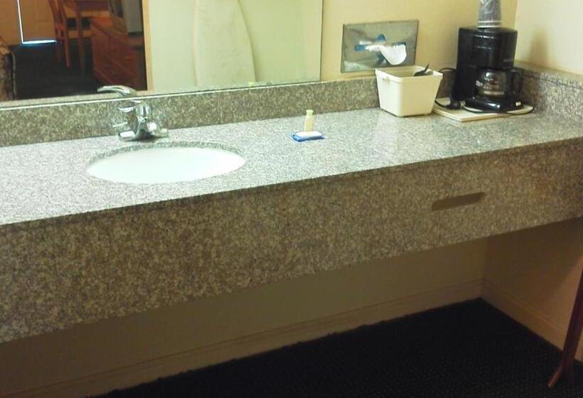 اتاق استاندارد با تخت بزرگ, Econo Lodge Inn & Suites Enterprise