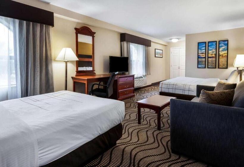 Studio Standard, La Quinta Inn By Wyndham Sandusky Near Cedar Point