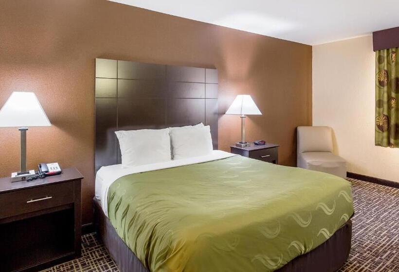 Quarto Standard Cama King, Quality Inn & Suites Caseyville  St. Louis