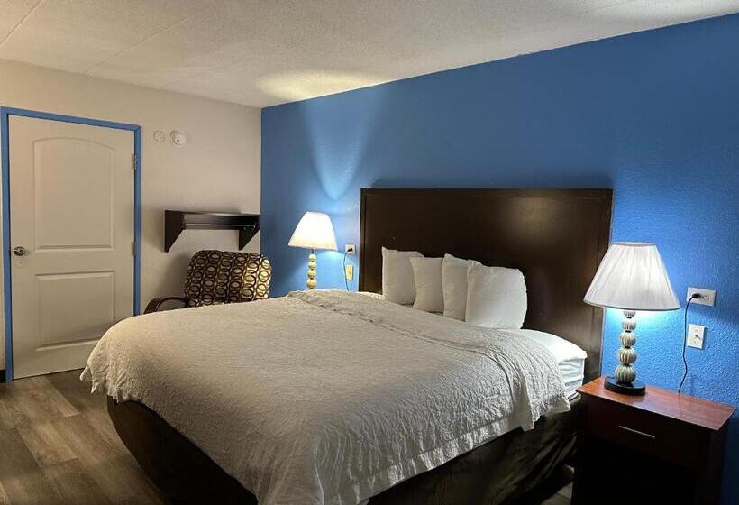 اتاق سوپریور برای معلولان, American Inn & Suites Bishop Airport Flint