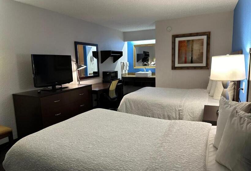 اتاق لوکس, American Inn & Suites Bishop Airport Flint