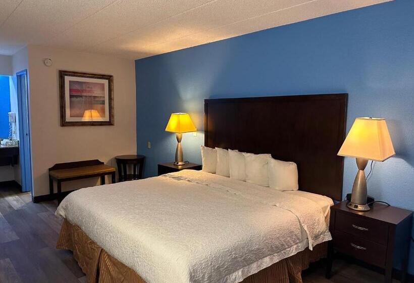 اتاق سوپریور با تخت بزرگ, American Inn & Suites Bishop Airport Flint