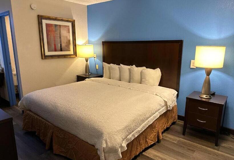 اتاق استاندارد با تخت بزرگ, American Inn & Suites Bishop Airport Flint