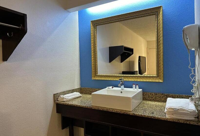 اتاق استاندارد با تخت بزرگ, American Inn & Suites Bishop Airport Flint