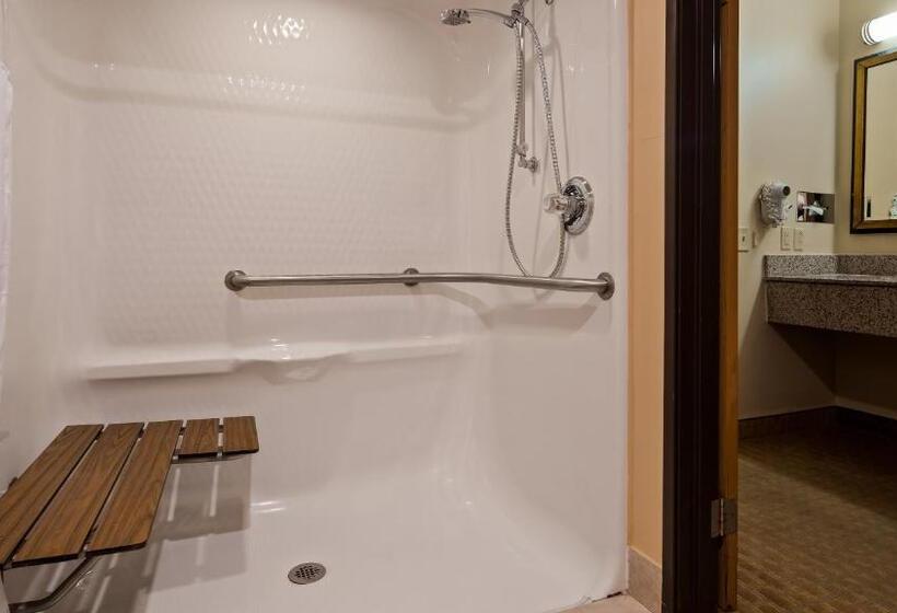 اتاق استاندارد با 2 تخت دوبل, Best Western Saluki Inn