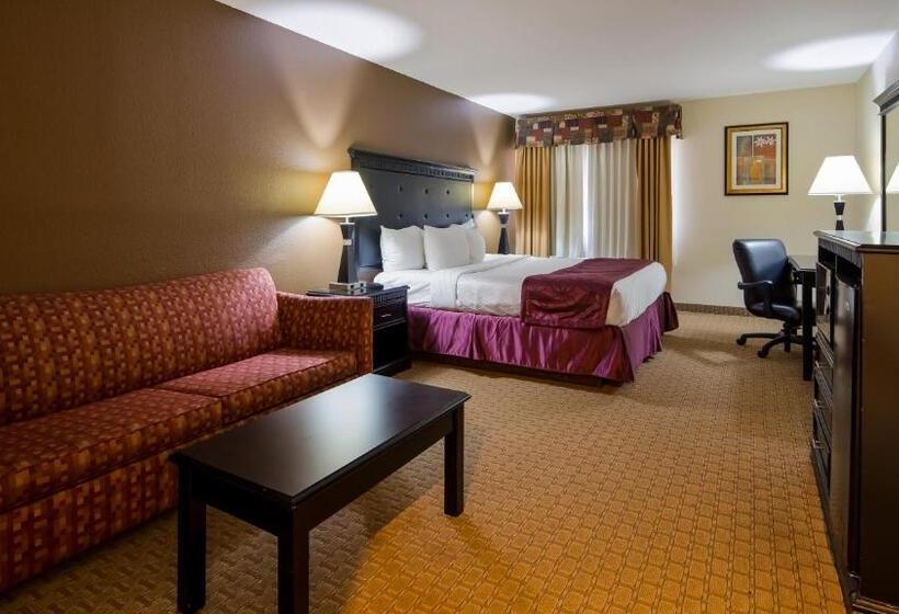 اتاق استاندارد با تخت بزرگ, Best Western Saluki Inn