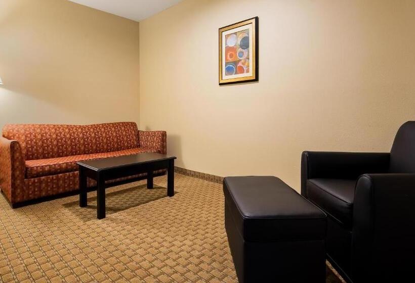 سوئیت با تخت بزرگ, Best Western Saluki Inn