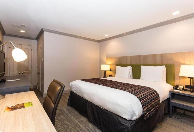 غرفة قياسية سرير كينج, Country Inn & Suites By Radisson, Metairie , La