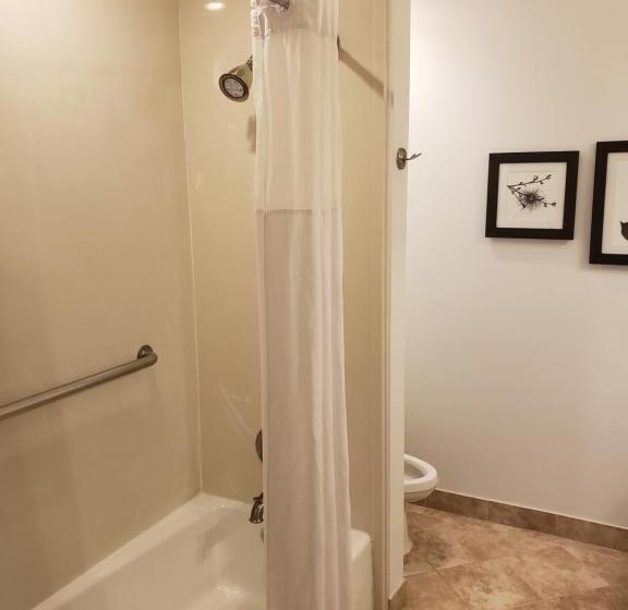 اتاق پرمیوم, Country Inn & Suites By Radisson, Metairie New Orleans , La