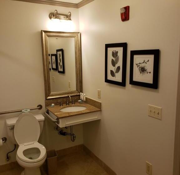 اتاق استاندارد با تخت بزرگ برای معلولان, Country Inn & Suites By Radisson, Metairie New Orleans , La