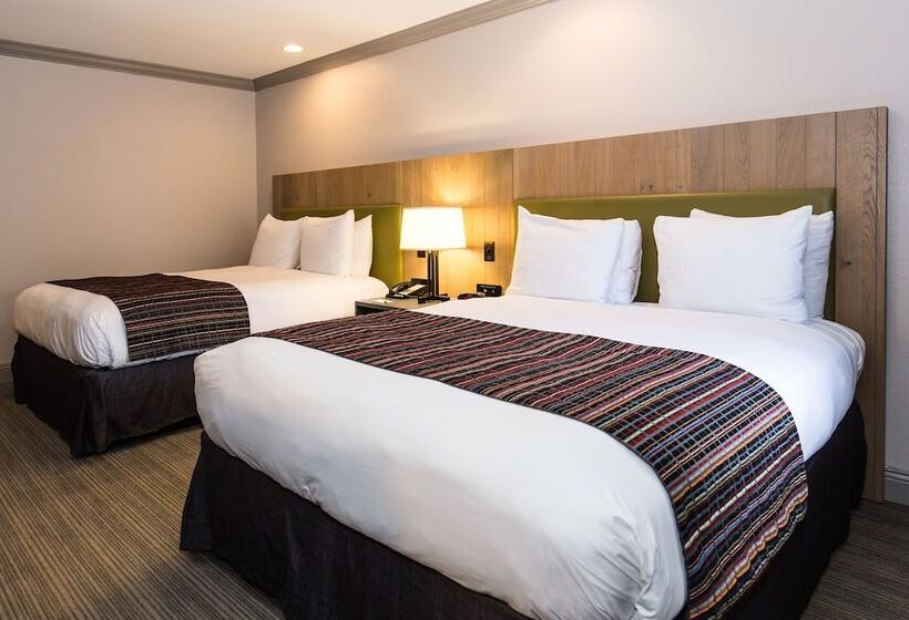 استودیوی استاندارد, Country Inn & Suites By Radisson, Metairie New Orleans , La