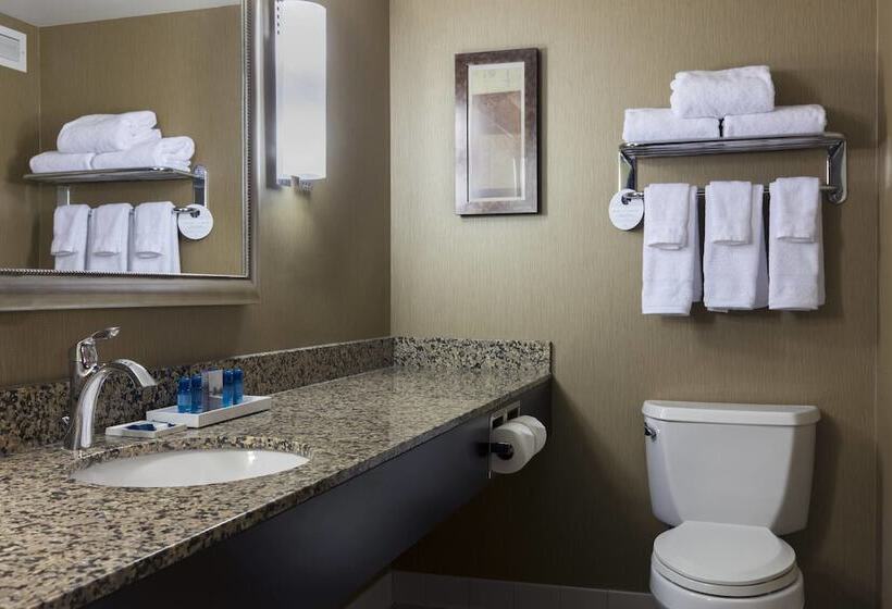 Suite, Delta S By Marriott Fargo