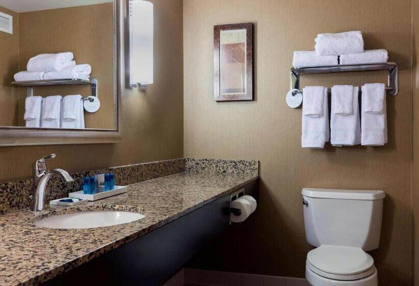 سوئیت با تخت بزرگ, Delta Hotels By Marriott Fargo