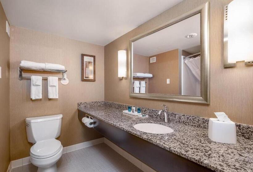 سوئیت با تخت بزرگ, Delta Hotels By Marriott Fargo